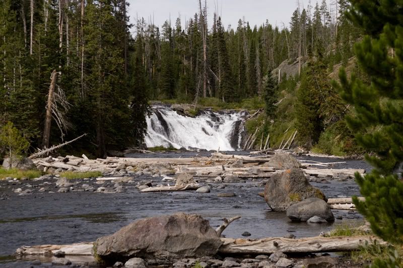 Yellowstone1.jpg