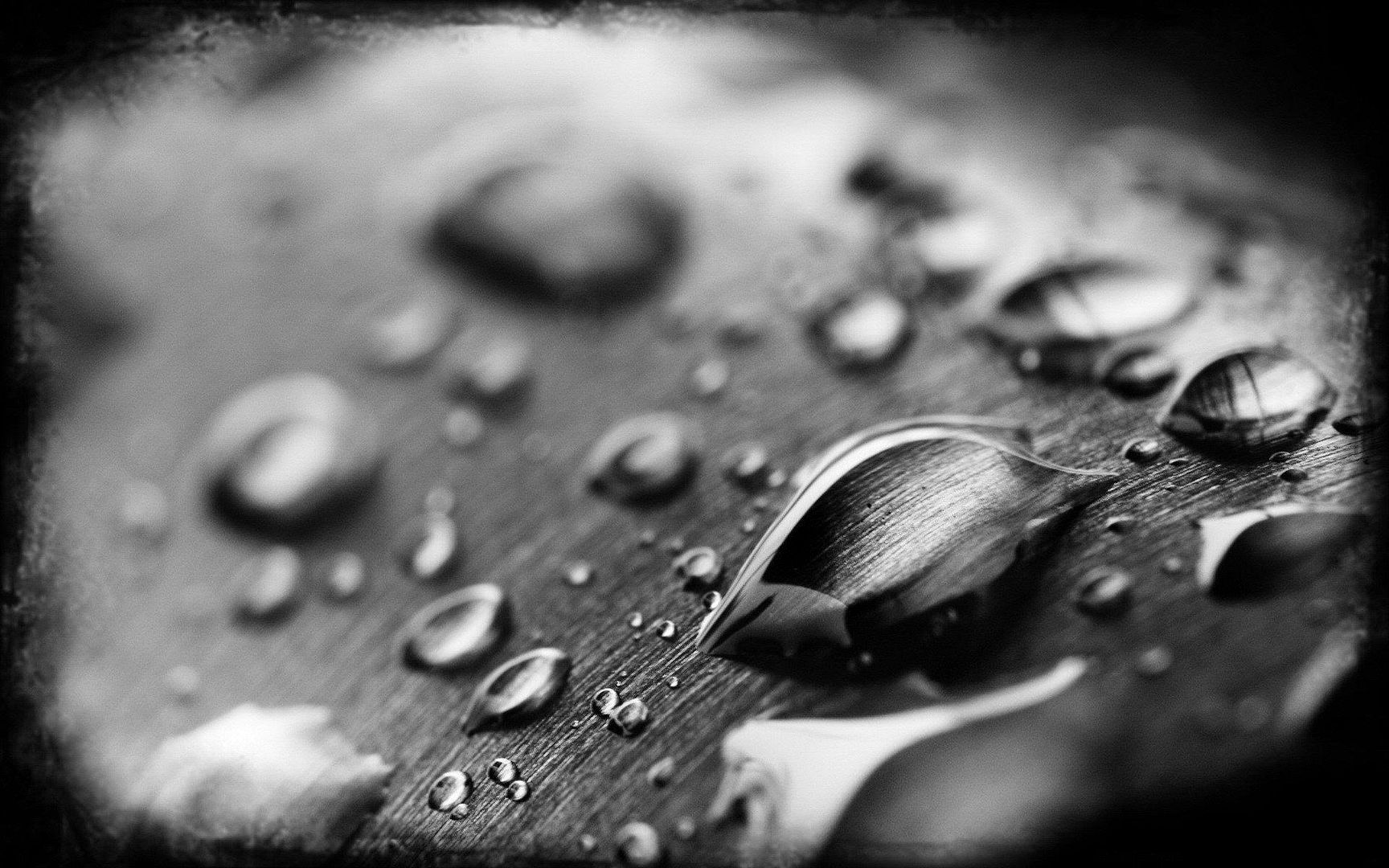 a7e1197f.jpg