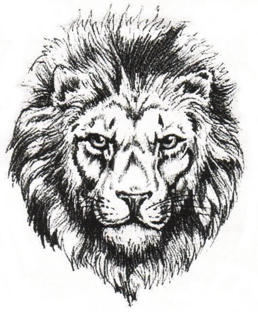 aslan.jpg