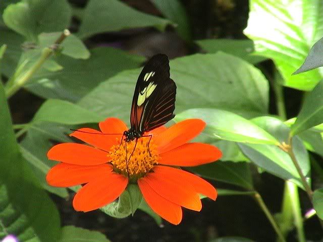 d8b70cf07e6b30ada21e566b0f19f3cd.jpg