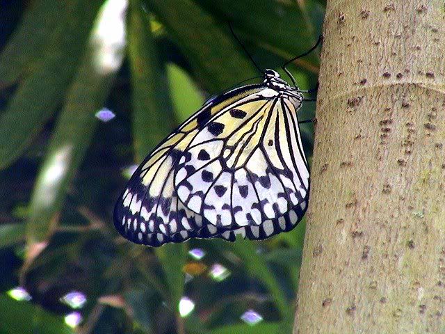 d9f046fb83bf2817c437fcec97de31dd.jpg