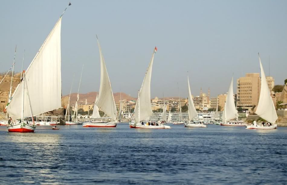 feluccas-950x614.jpg