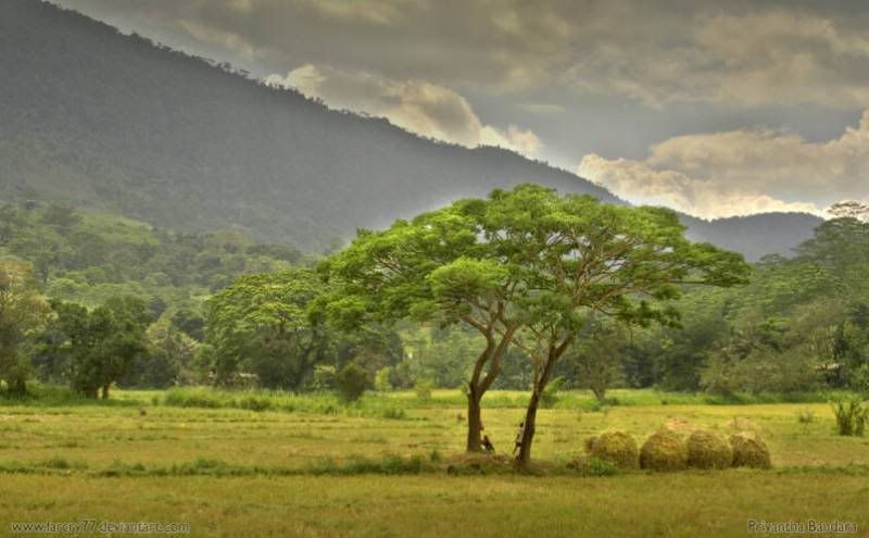 incredible_srilanka_funzugorg_05.jpg