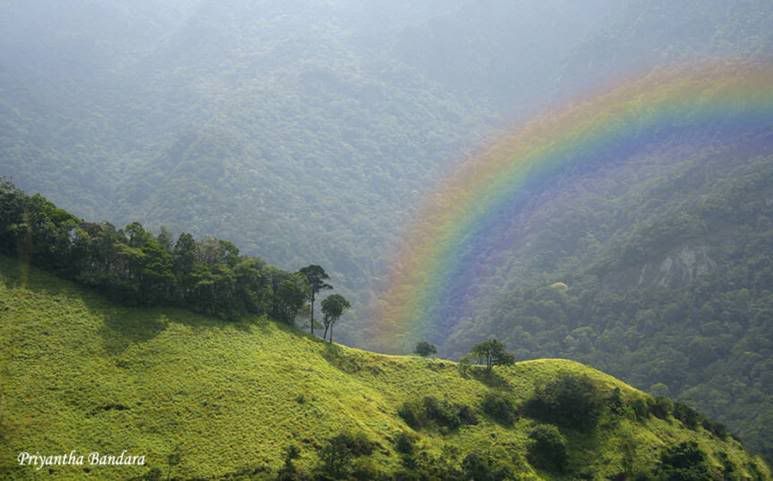 incredible_srilanka_funzugorg_07.jpg