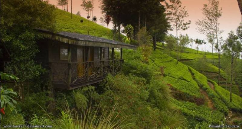 incredible_srilanka_funzugorg_09.jpg