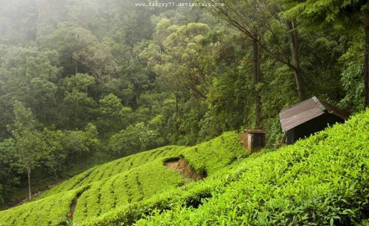 incredible_srilanka_funzugorg_14.jpg