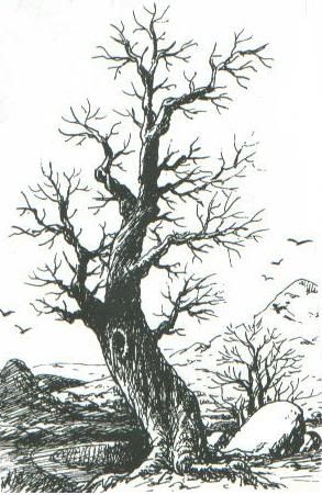 karakalem_agac_kis.jpg