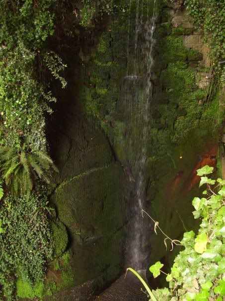 n3419822_34027375_3459.jpg