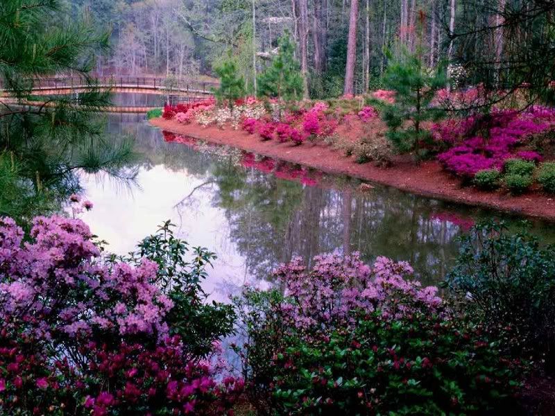 nature192co2.jpg