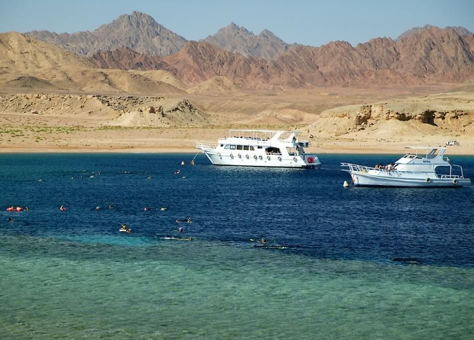 rasmohammedsnorkelers-950x683.jpg