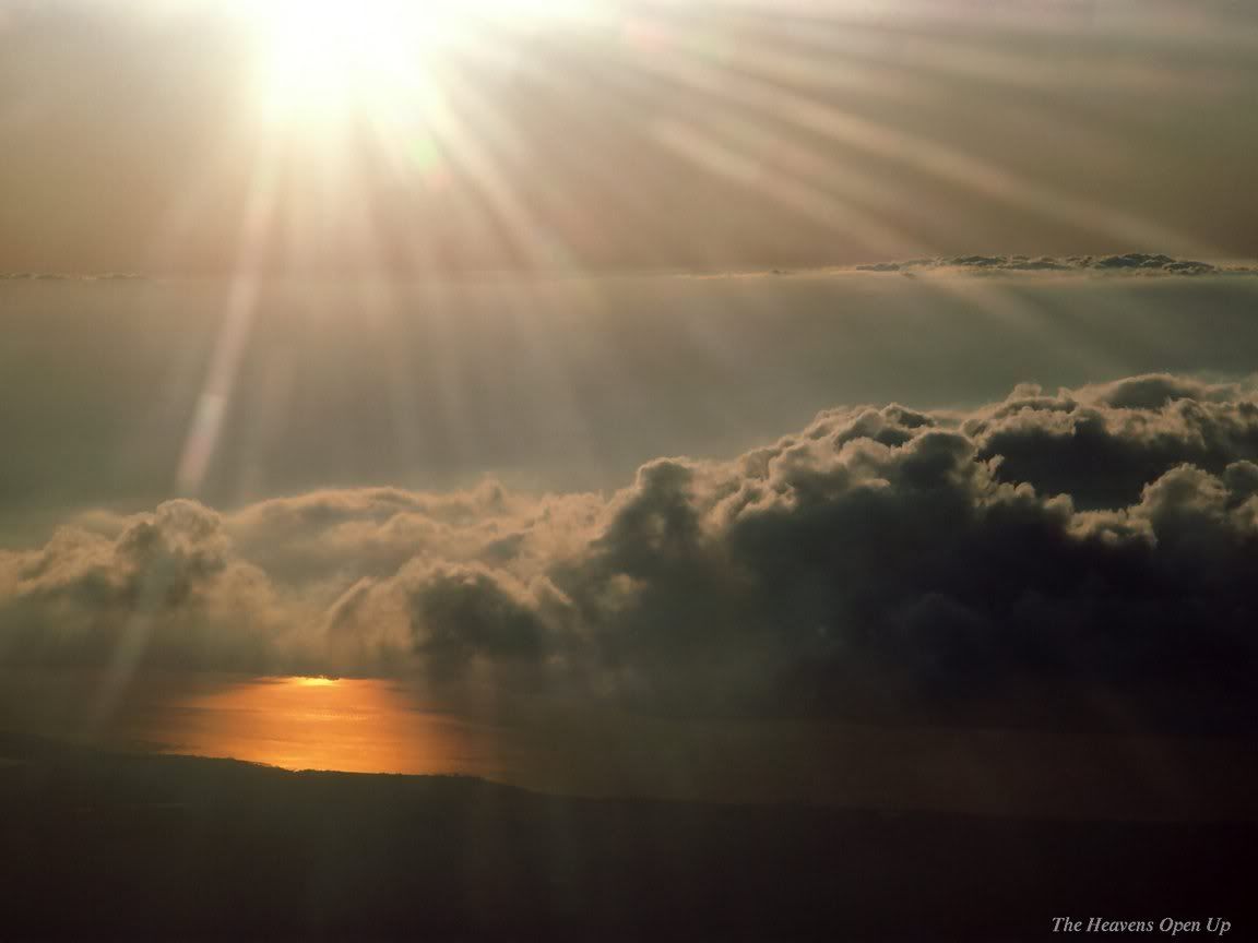 12390fs7.jpg