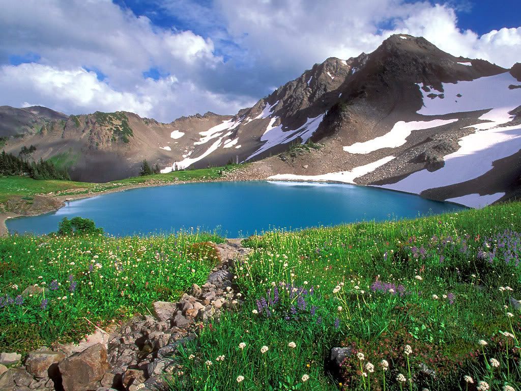 Alpine_Tranquility_Olympic_National.jpg
