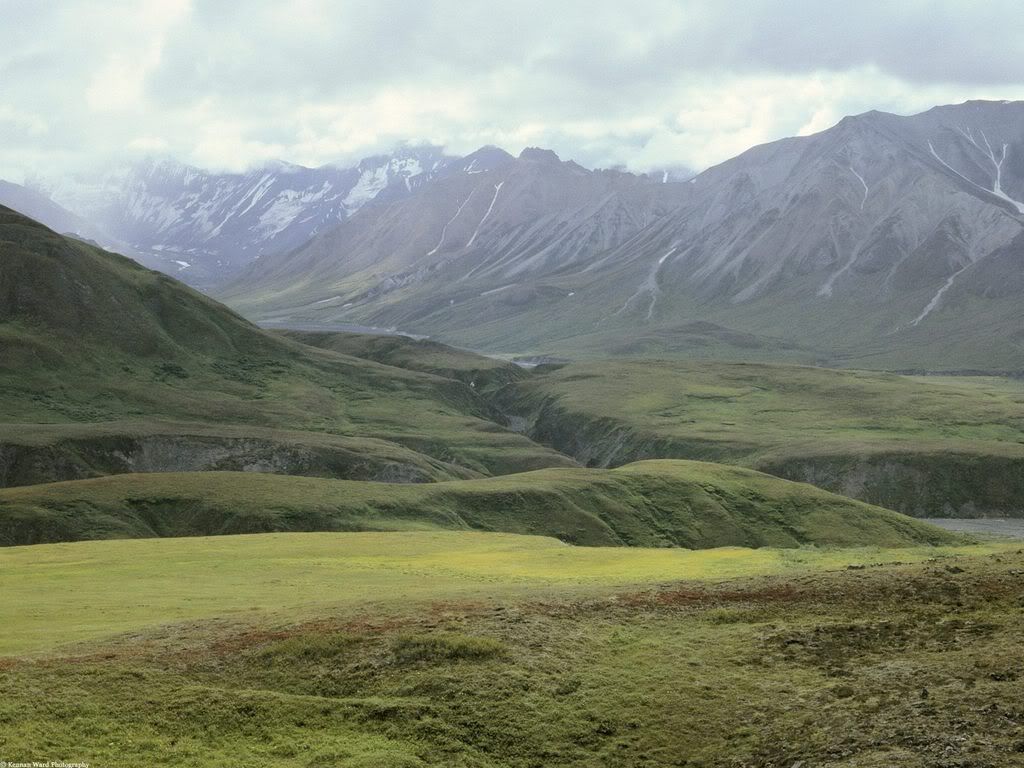 BrooksRangeArcticNationalWildlifeRe.jpg