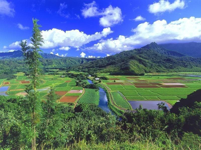 HanaleiValleyKauaiHawaii.jpg