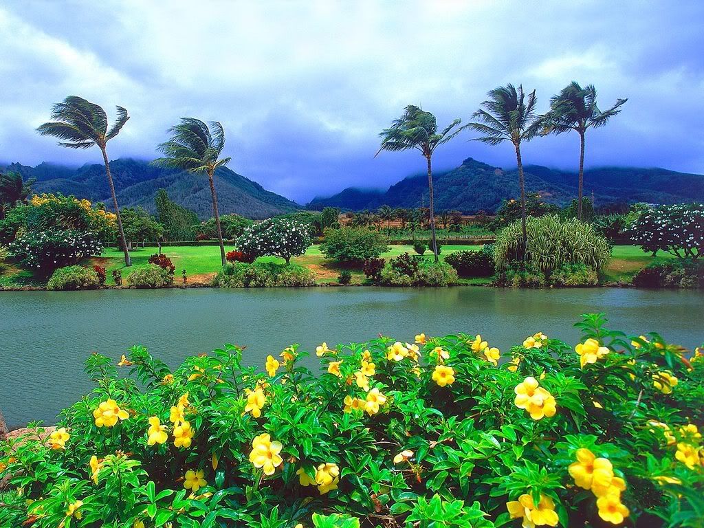 MauiTropicalPlantationHawaii.jpg