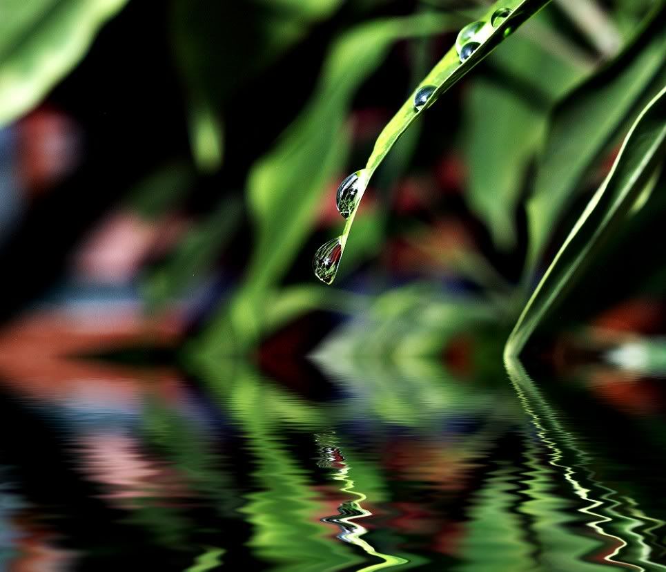 abde7d5662c24ab3c6303cd5d49b6f2a.jpg
