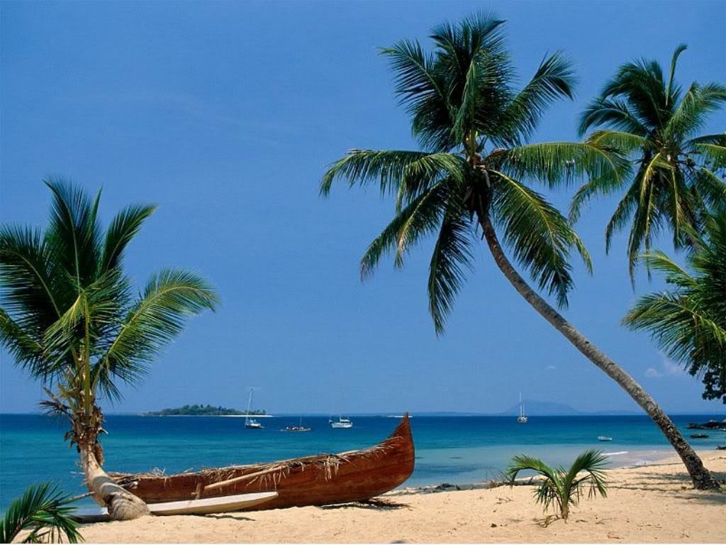beachedmadagascarvp8.jpg