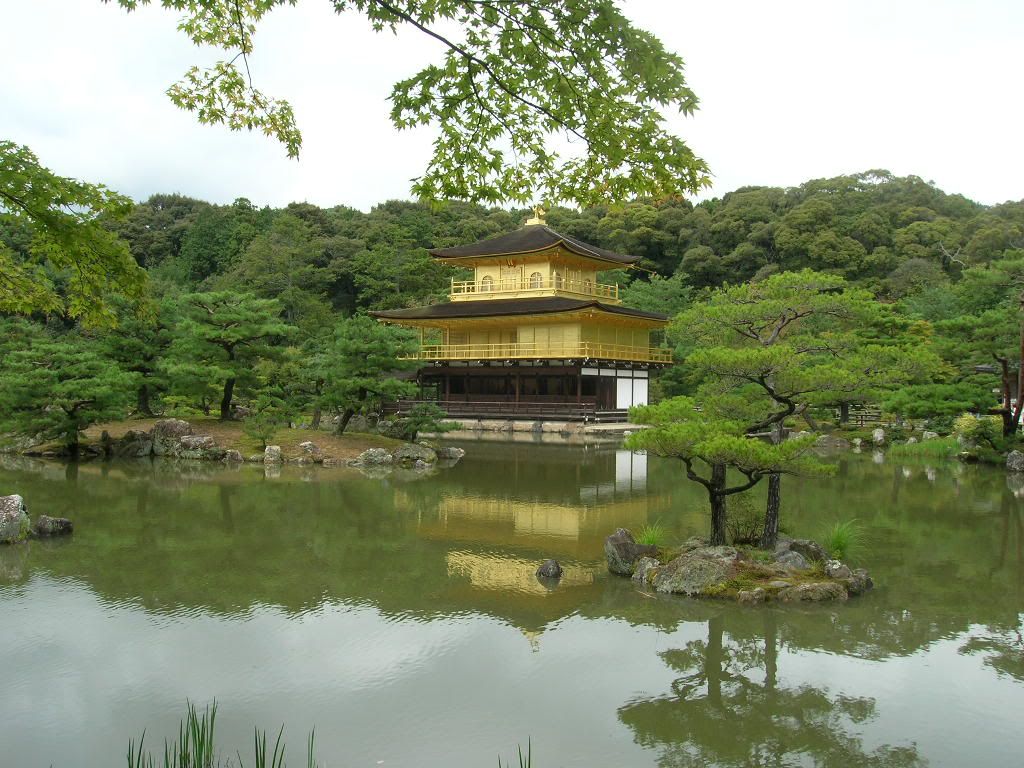dscn0460.jpg