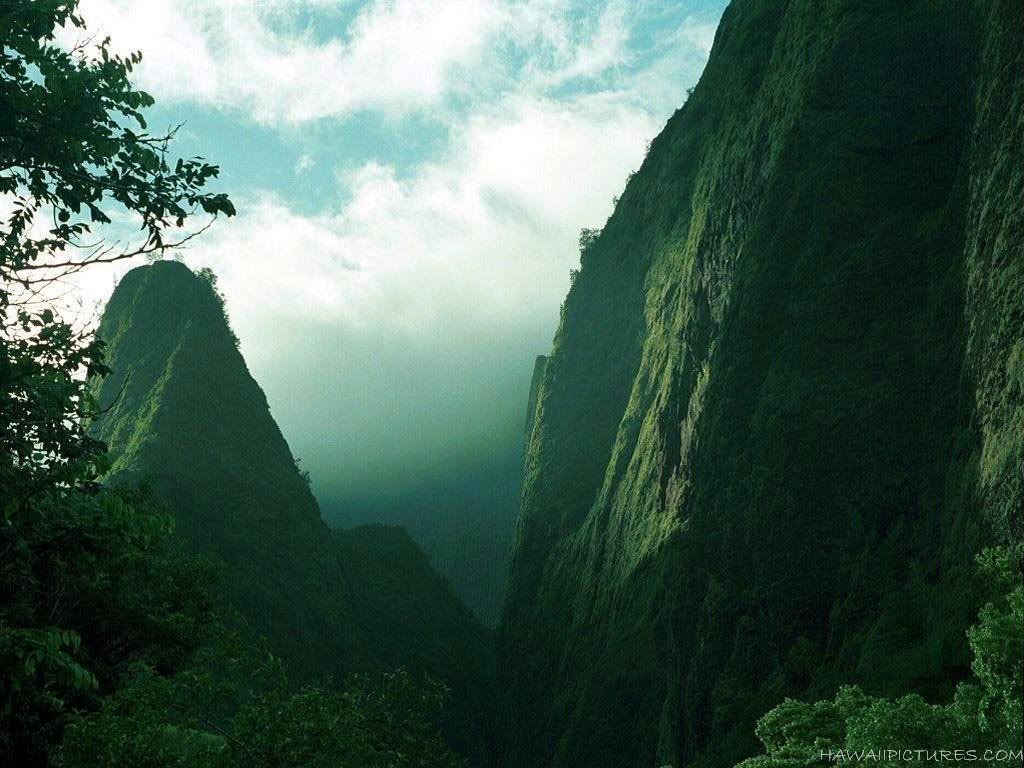 maui21024x768.jpg