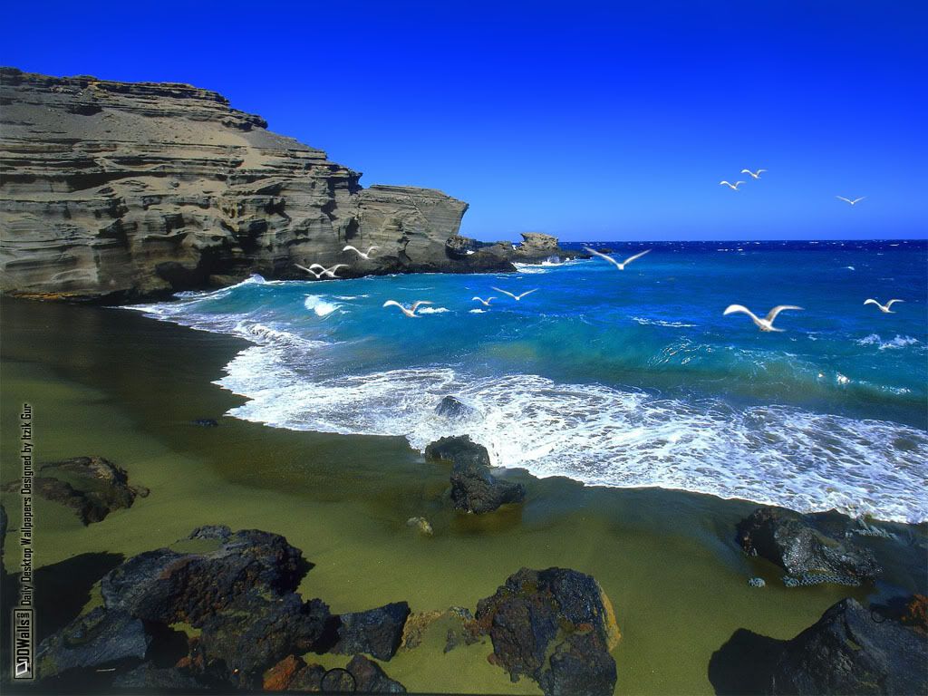 nature-new278.jpg