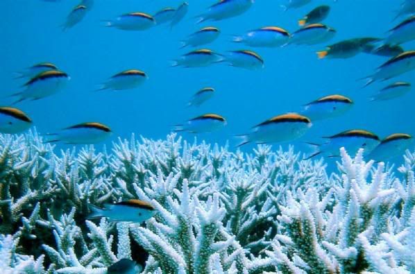 ss_090721_natural_wonders_19ss_full.jpg