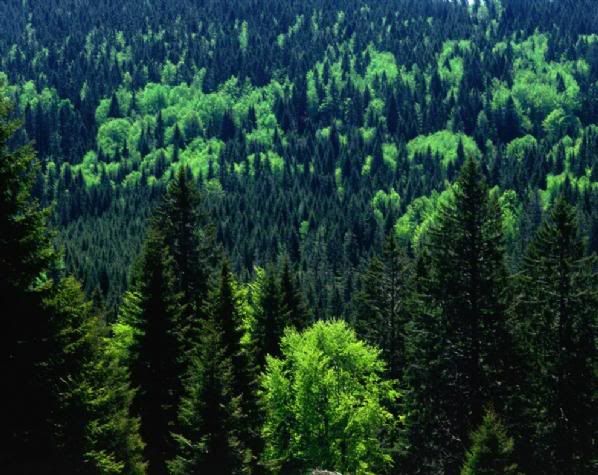 ss_090721_natural_wonders_23ss_full.jpg