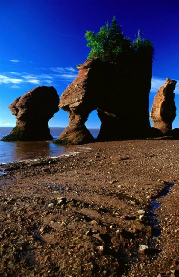 ss_090721_natural_wonders_24ss_full.jpg