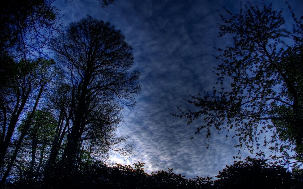 01306_bluemorning_2560x1600.jpg
