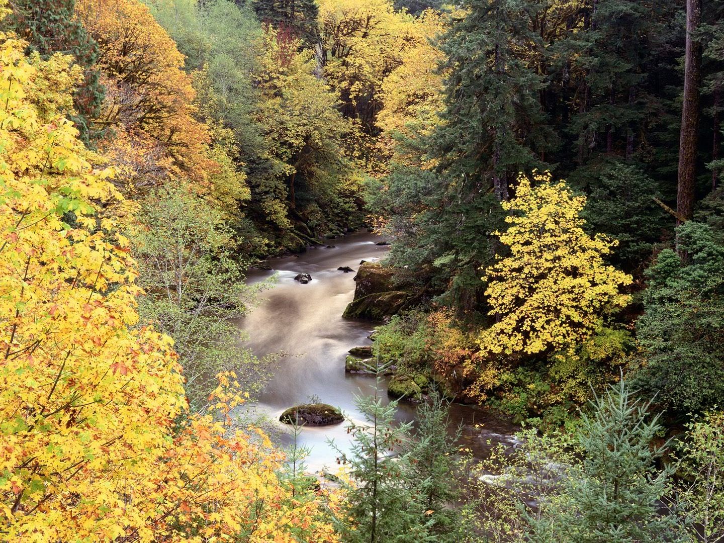 AutumnColorCoquilleRiverOregon.jpg