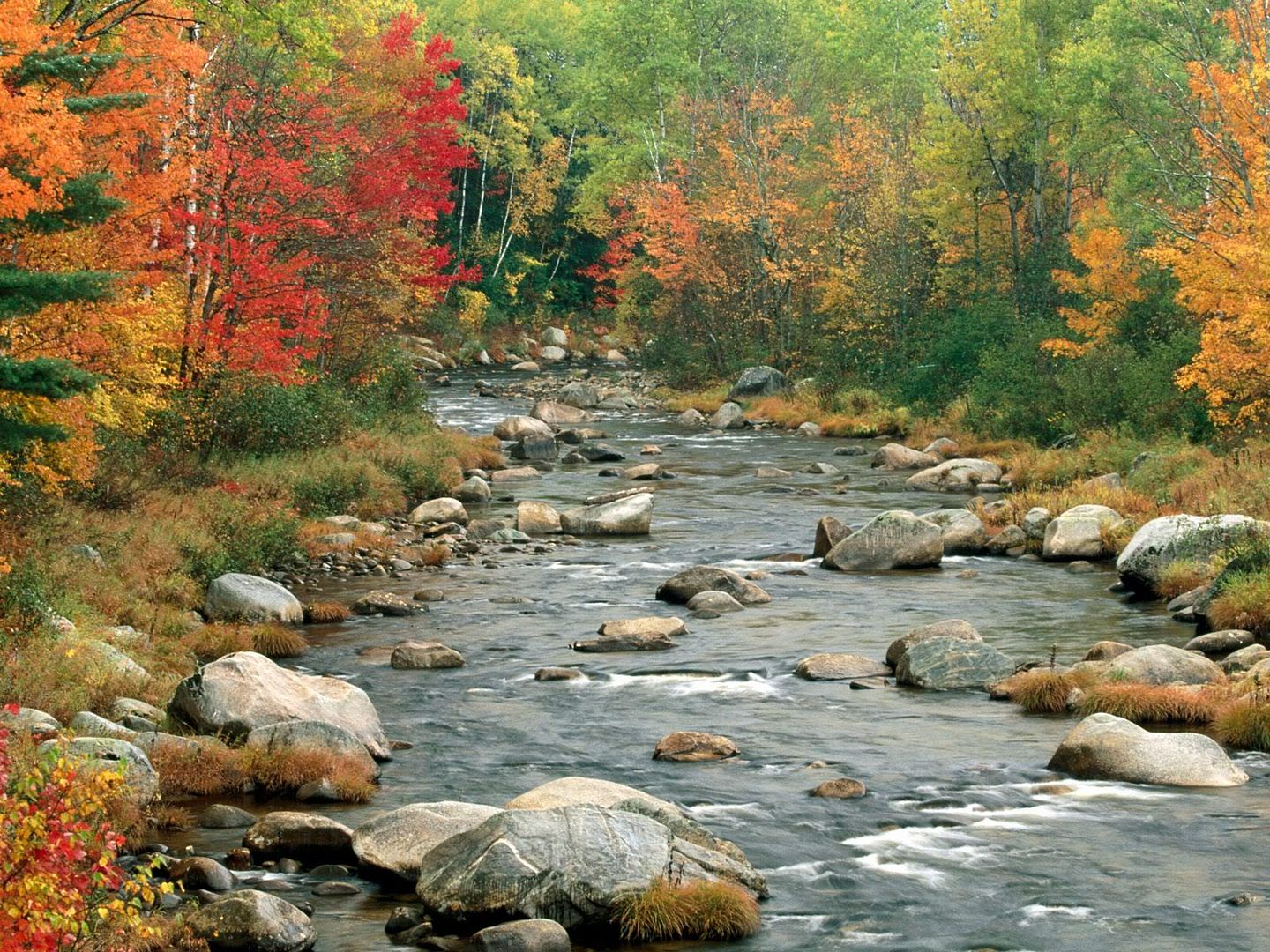 AutumnColorsWhiteMountainsNewHampsh.jpg