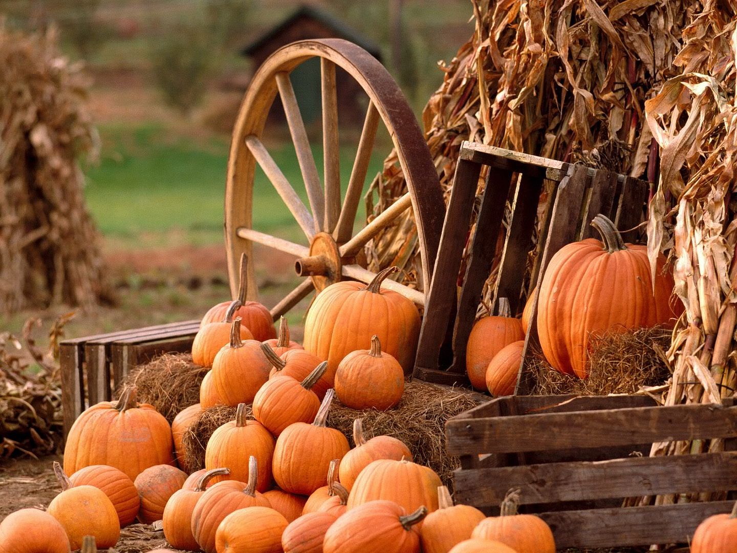 AutumnHarvest.jpg