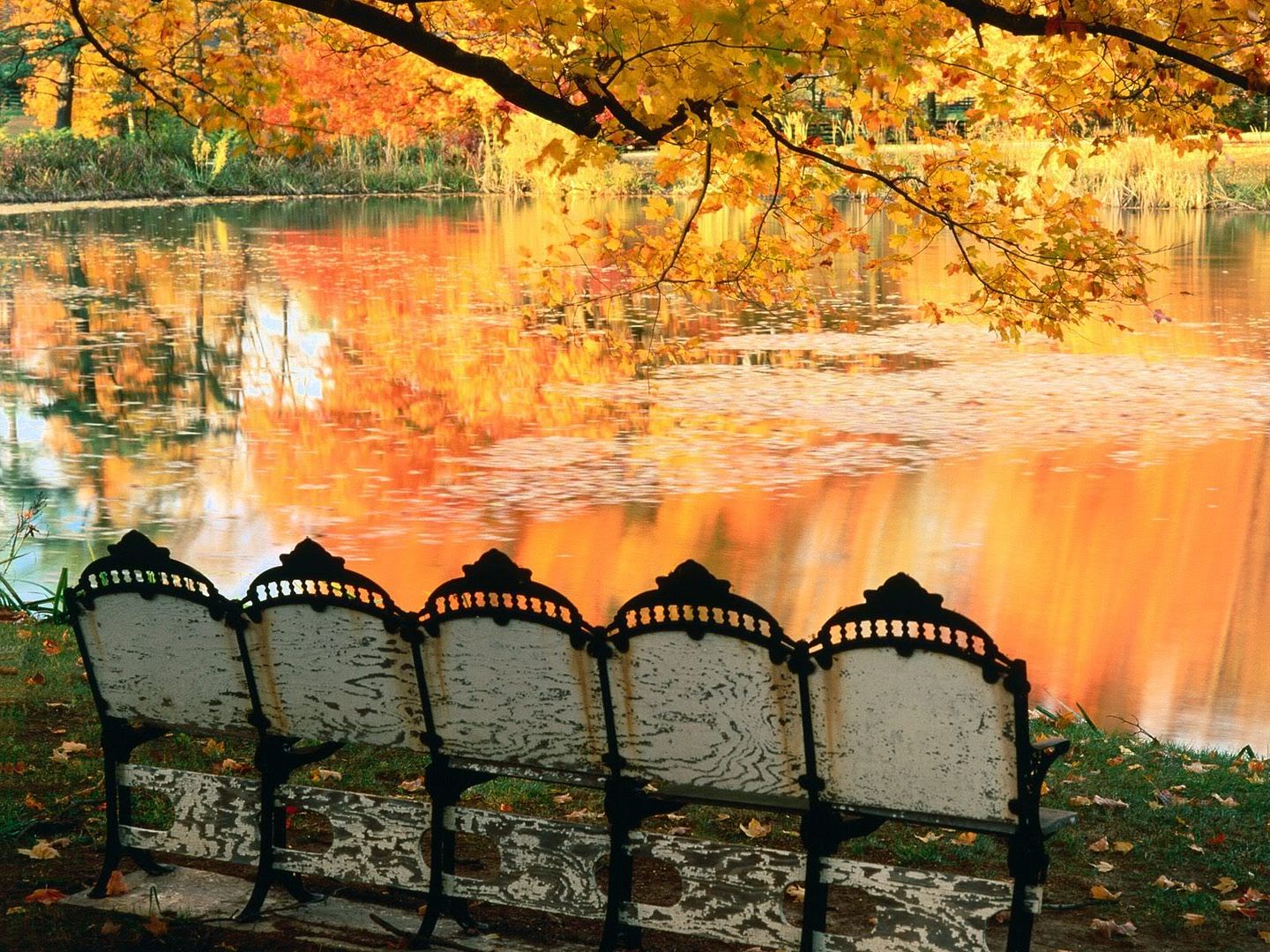 BestSeatintheHouseLouisvilleKentuck.jpg
