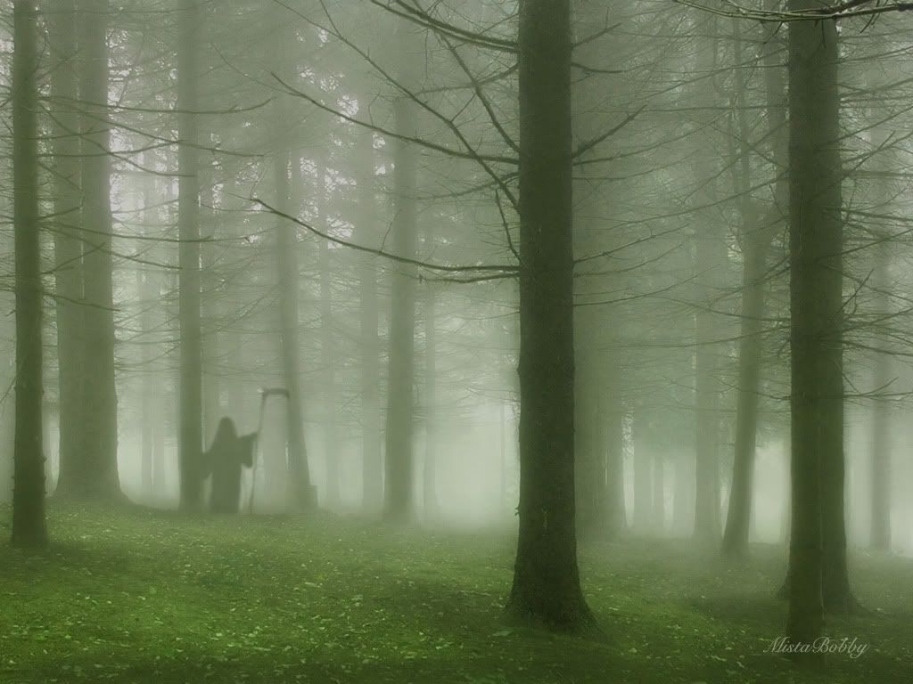 Death_Whispered_a_Lullaby.jpg