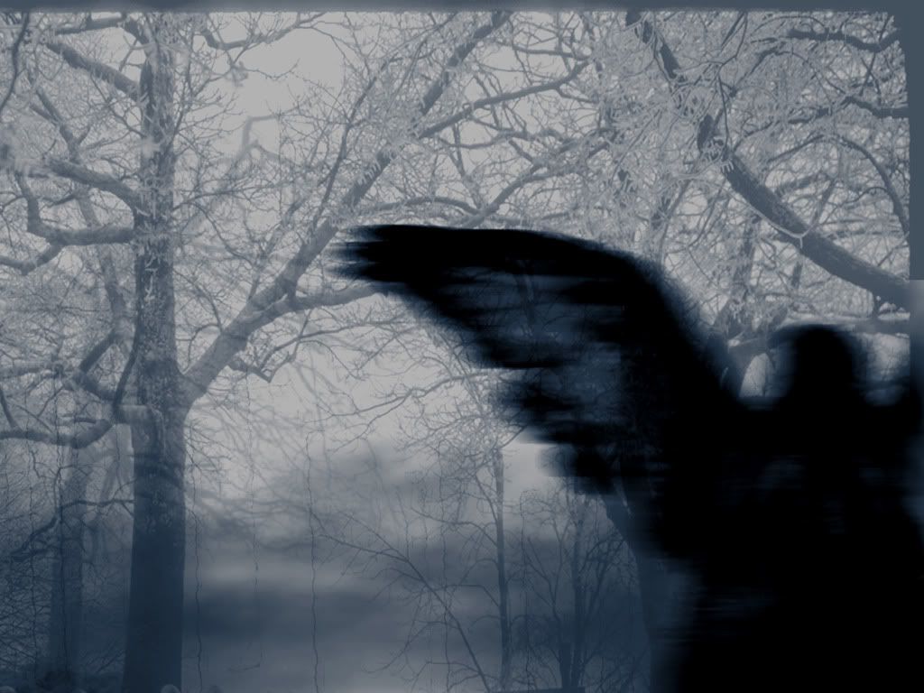 Divine_Darkness.jpg