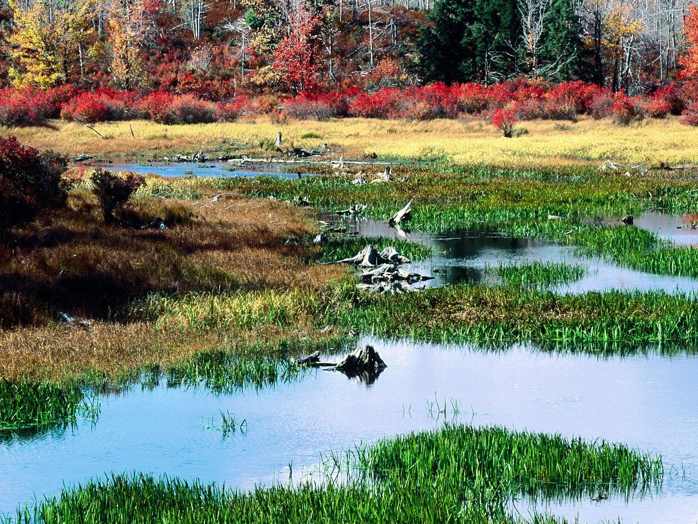 FallPondRickettsGlenStateParkPennsy.jpg