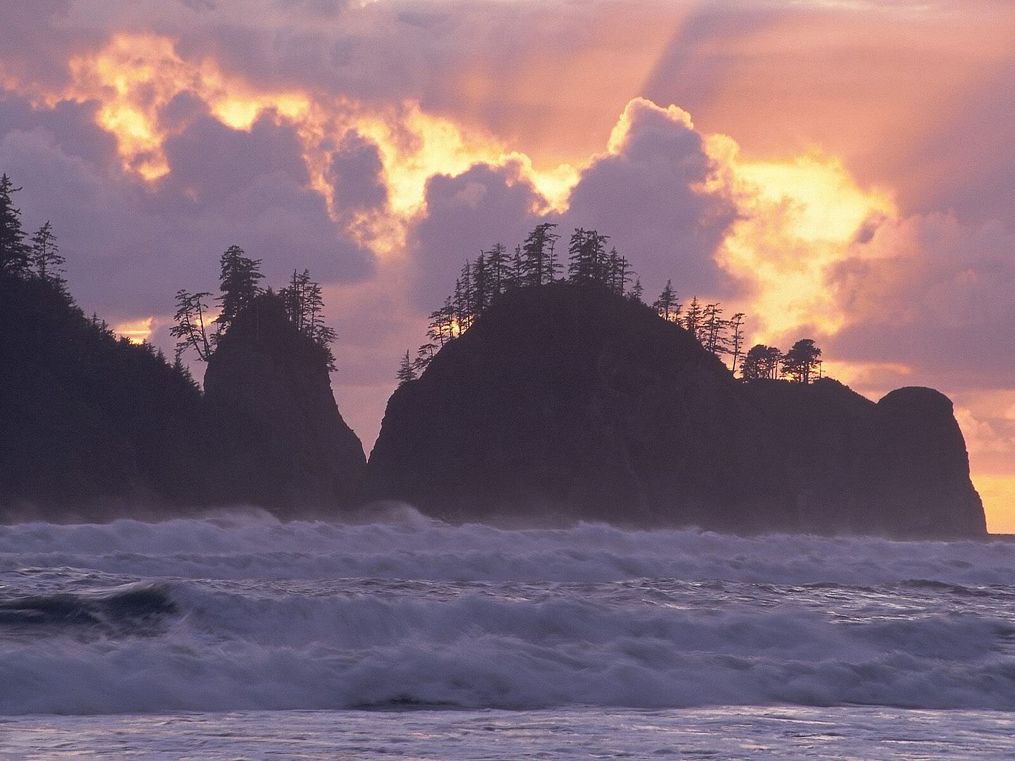 FirstBeachOlympicNationalParkWashin.jpg