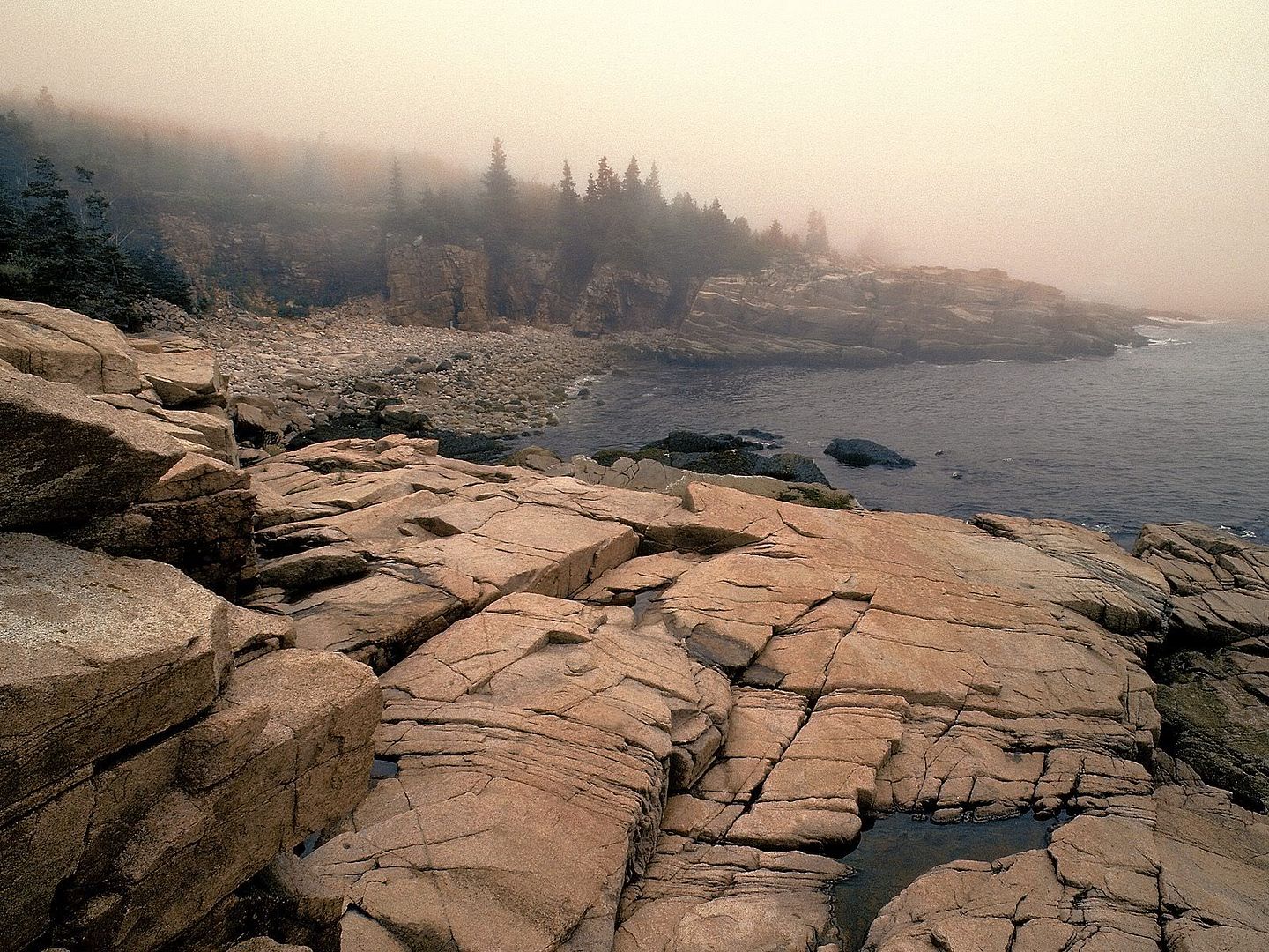 FogLadenAcadiaNationalParkMaine.jpg