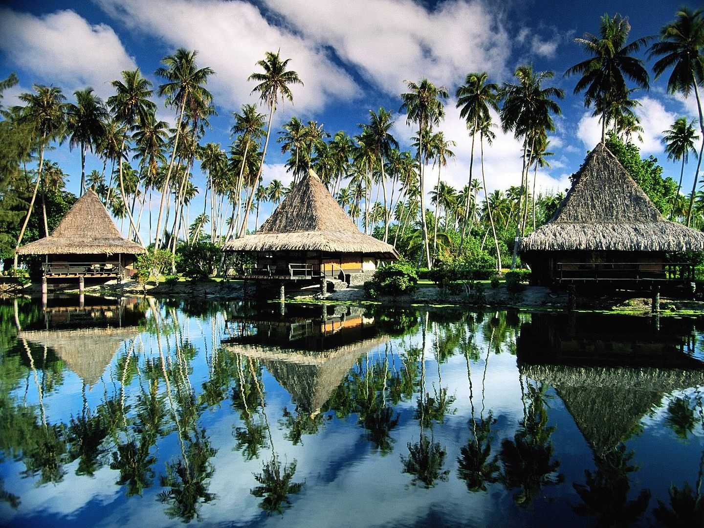 HotelBungalowsMooreaFrenchPolynesia.jpg