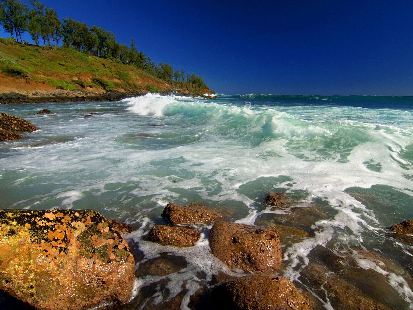 KealiaShorelineKauaiHawaii.jpg