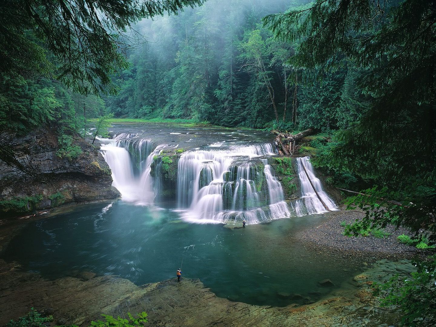 LowerLewisRiverFallsGiffordPinchotN.jpg