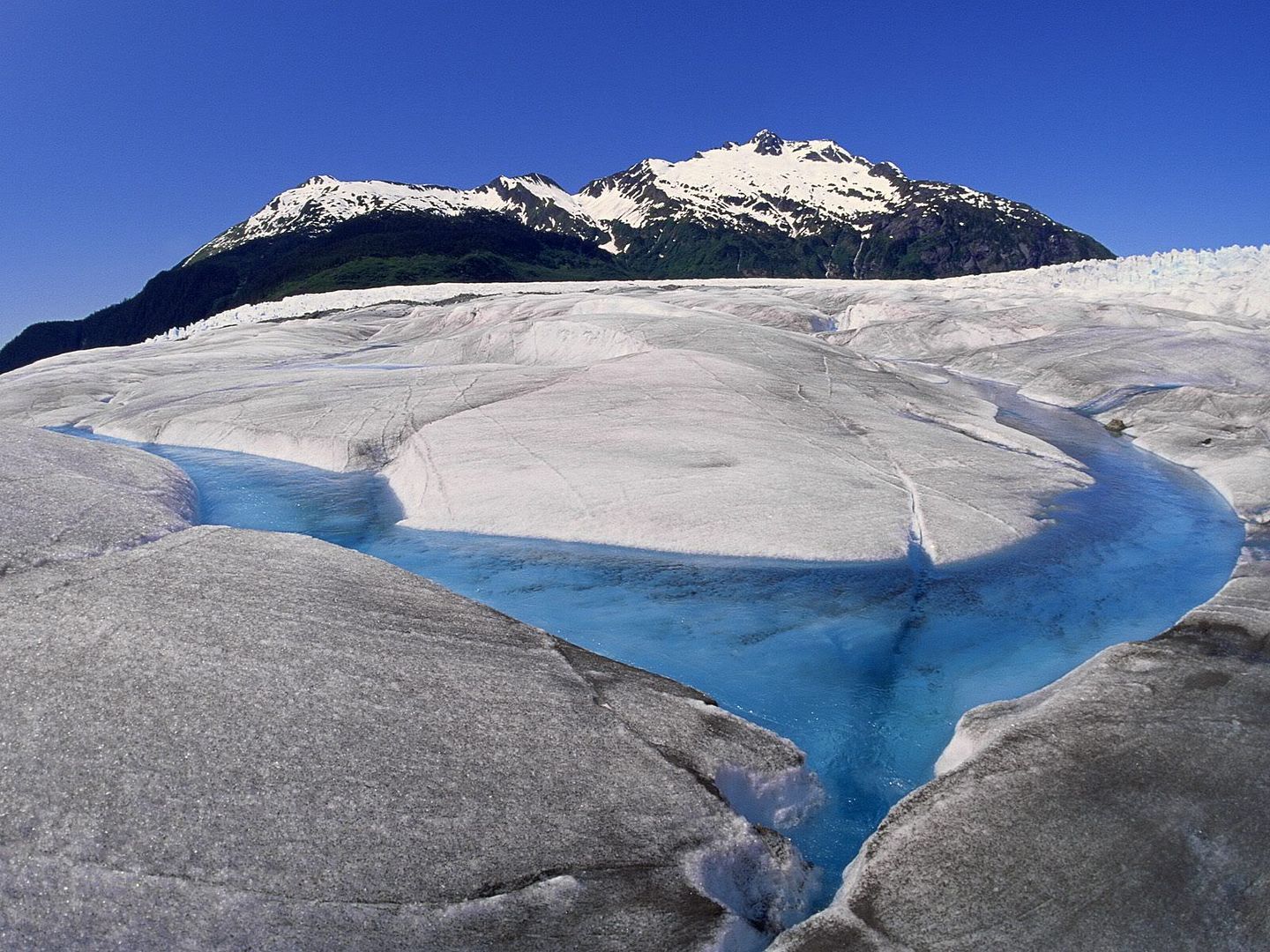 MendenhallIceGlacierJuneauAlaska.jpg
