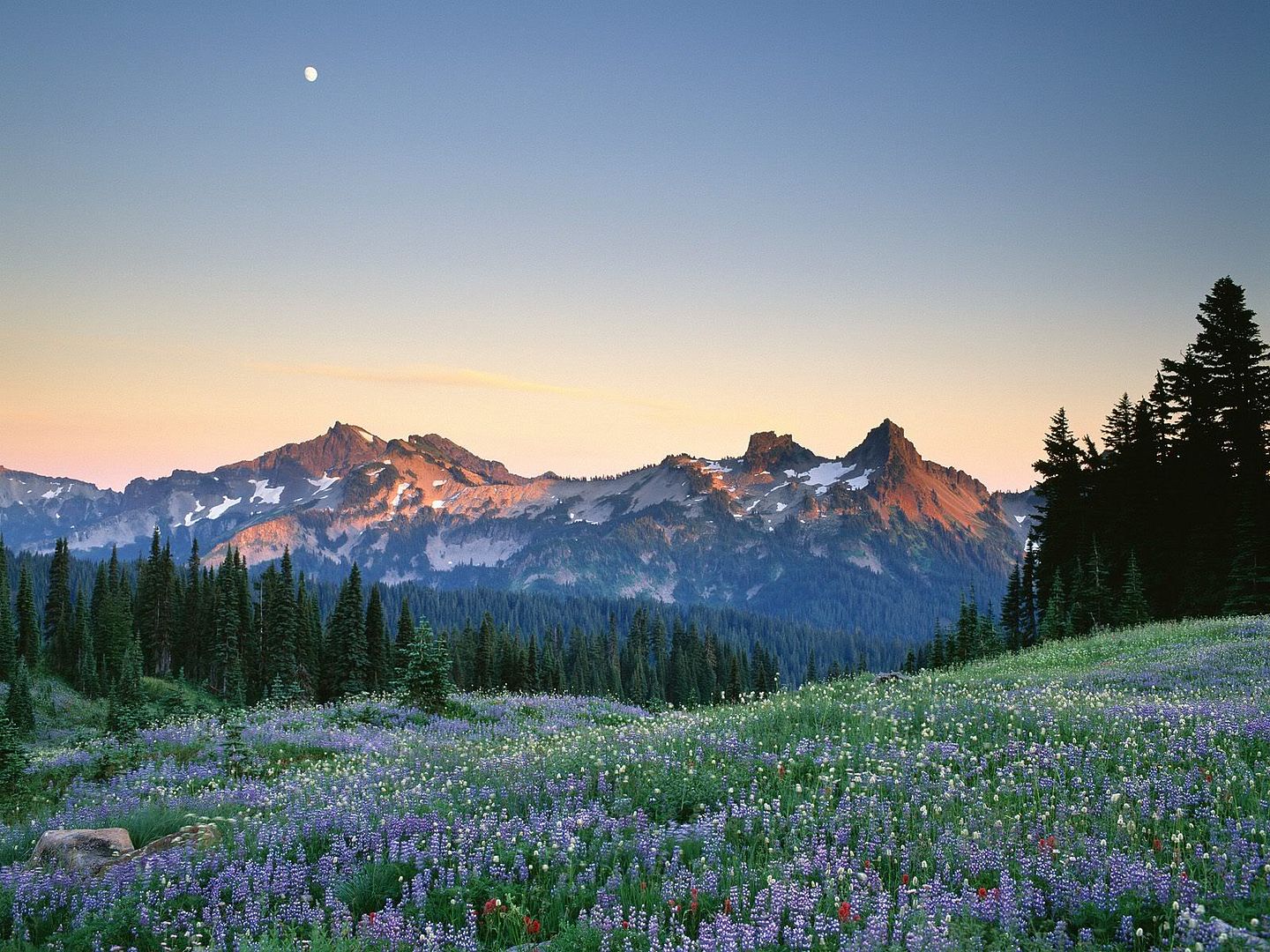MoonRisingOvertheTatooshRangeMountR.jpg