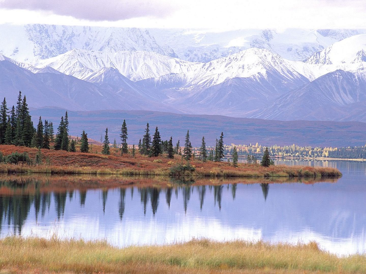 MountTundraandWonderLakeDenaliNatio.jpg
