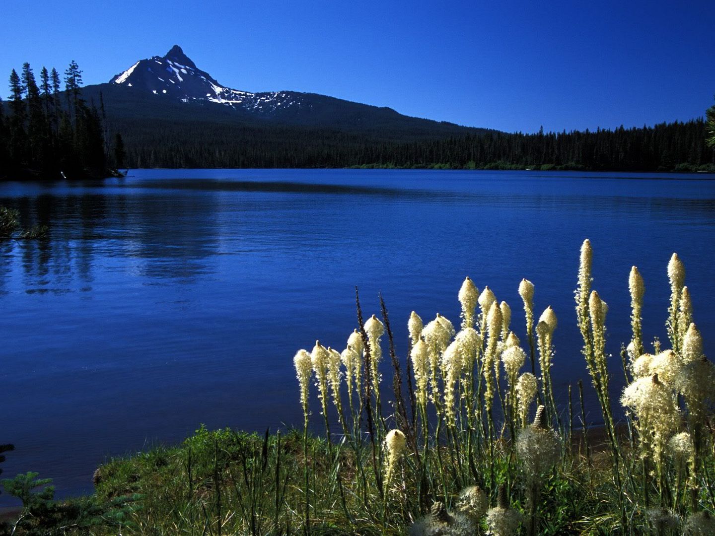 MountWashingtonfromBigLakeOregon.jpg