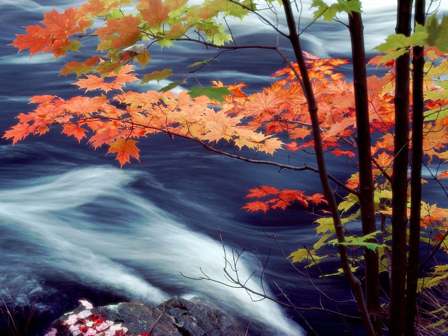 OxtongueRiverOntarioCanada.jpg