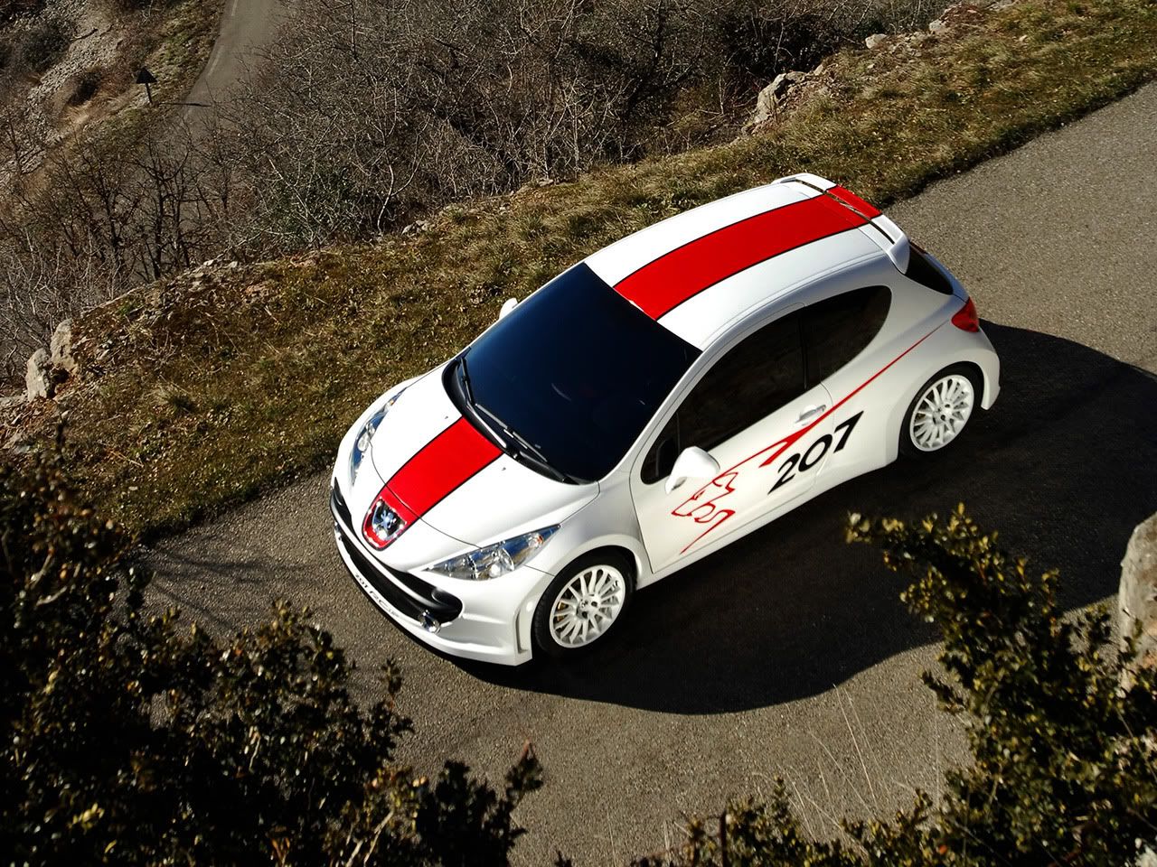Peugeot_207_RCup_1280x960.jpg