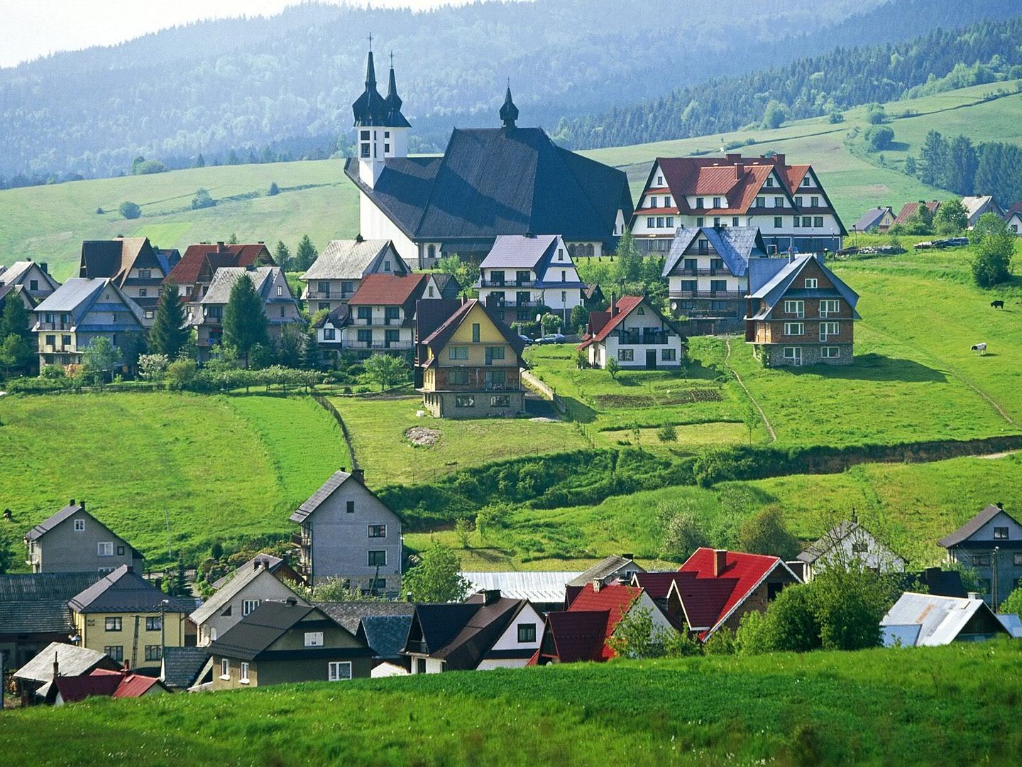 PieninyKluszkowceTatraMountainsPola.jpg