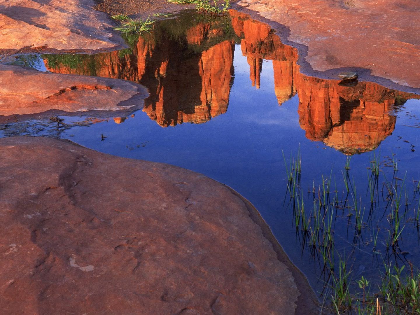 ReflectionofCathedralRockatRedRockC.jpg
