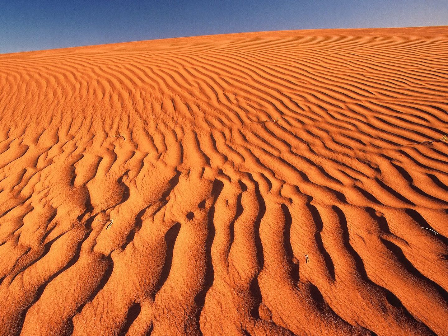 SandDunesColorado.jpg