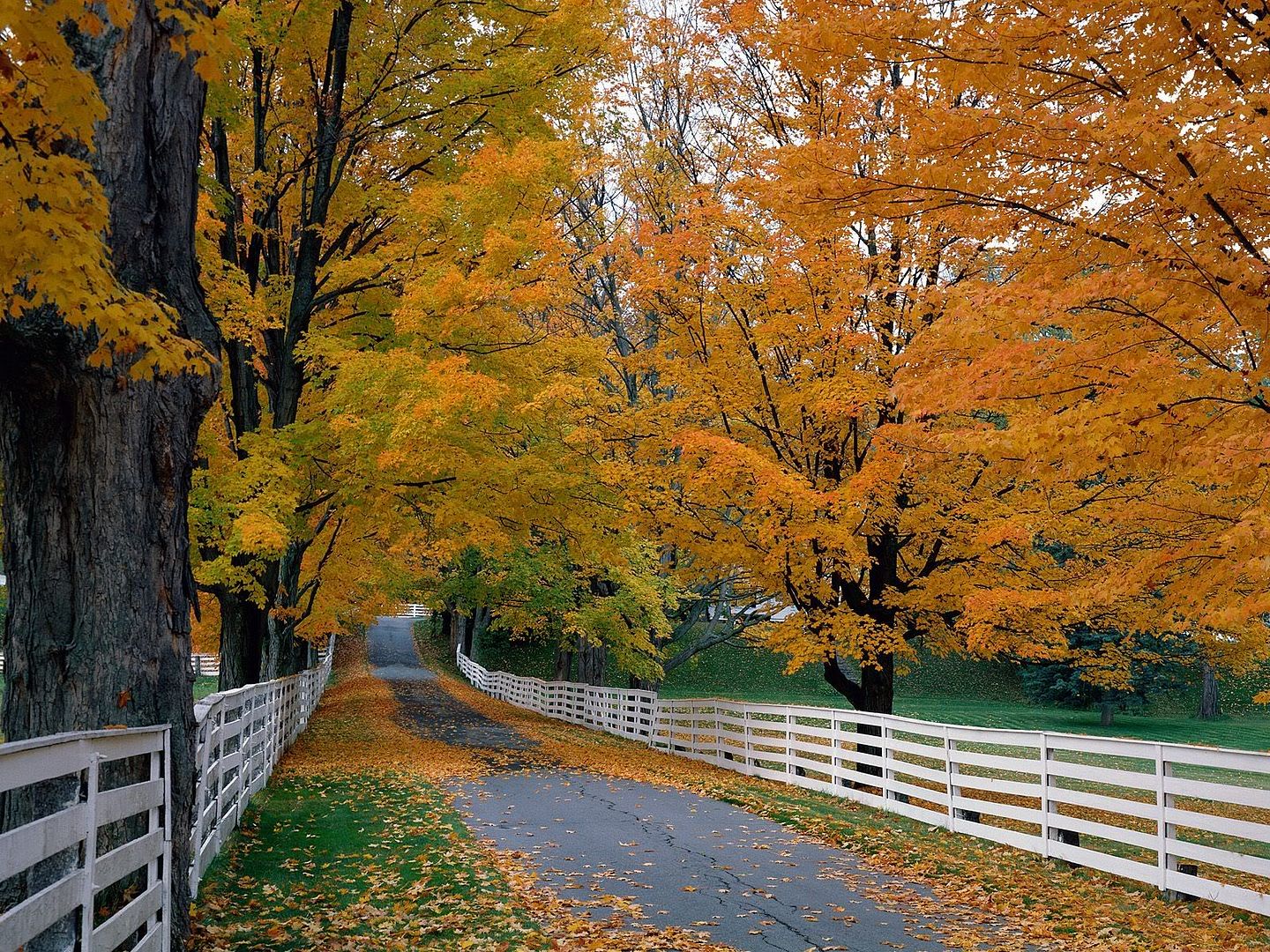 ScenicBackroadNewHampshire.jpg